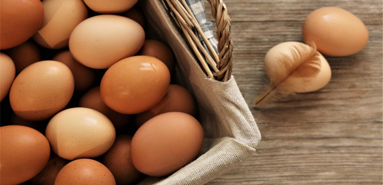 Chất lượng trứng tốt hơn so với nuôi nhốt thông thường